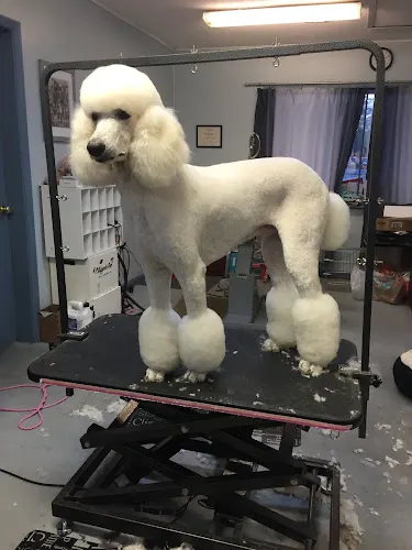 Pet Grooming by Dawn Warring - Image 1