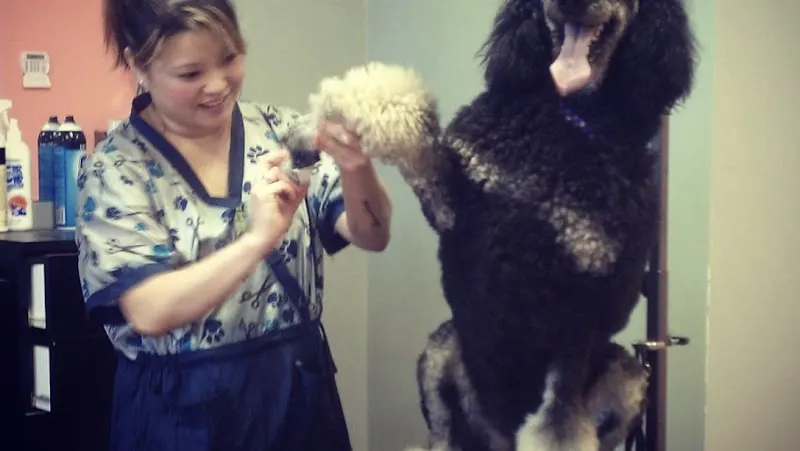On all 4’s Dog Grooming - Image 1