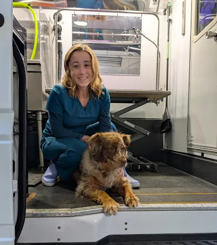 Haulin' Tails Mobile Pet Grooming - Image 1