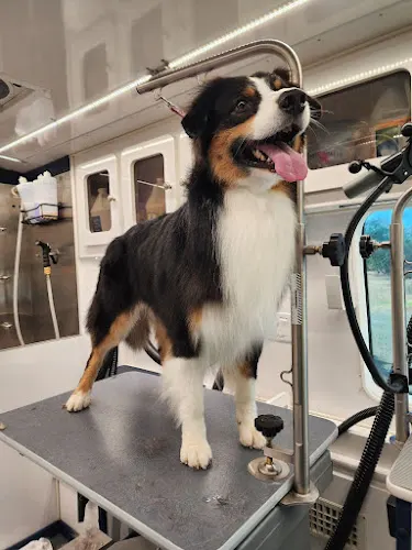 The Noble Beast Mobile Pet Grooming - Image 1