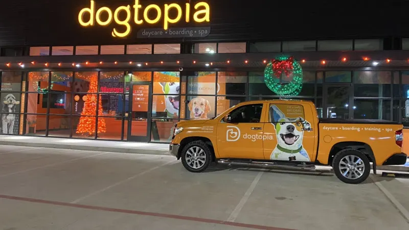 Dogtopia of The Woodlands West - Image 1