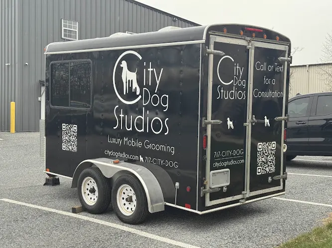 City Dog Studios Mobile Dog Grooming - Image 1