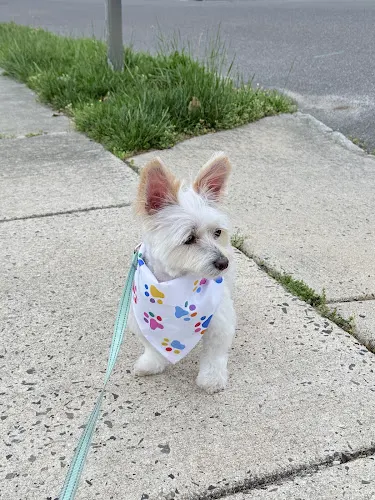Ruby’s Elite Grooming LLC - Image 1