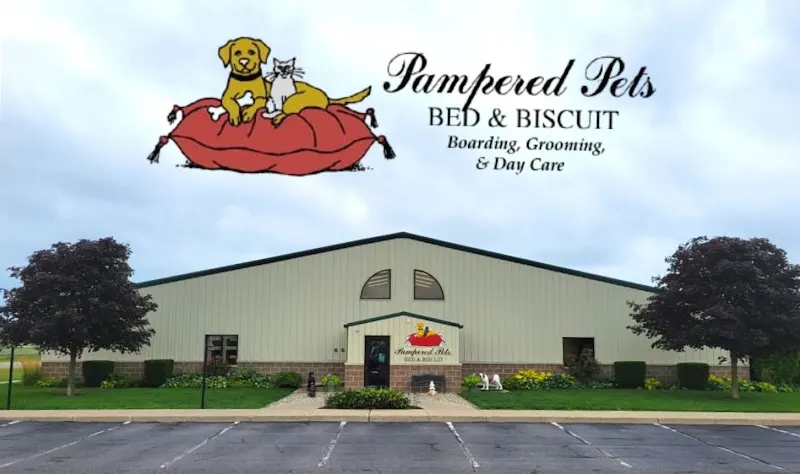 Pampered Pets Bed & Biscuit - Image 1