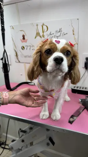 AristoPets Mobile Grooming - Image 1