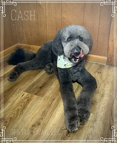Spa For Paws, LLC - Image 1