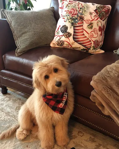 Kathy's Pet Grooming in Salisbury, MA