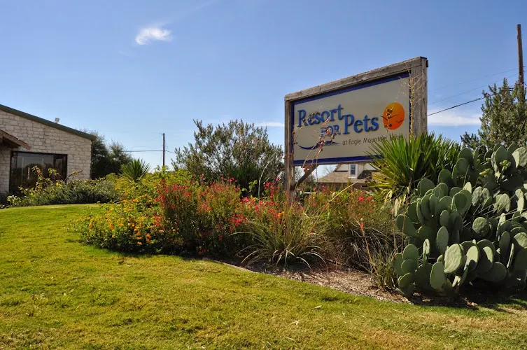 Resort For Pets at Eagle Mountain Lake - Image 1