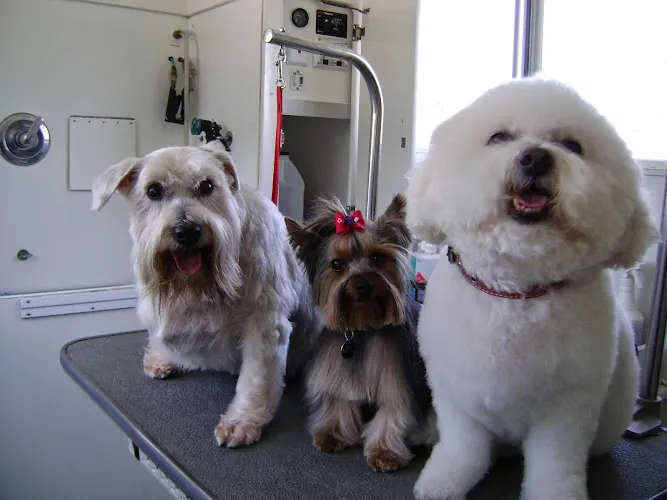 Dog Works Mobile Pet Grooming LLC - Image 1