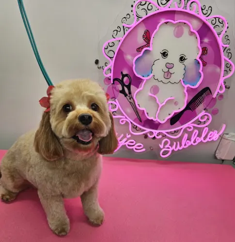 Boujee Bubbles Mobile Dog Grooming - Image 1