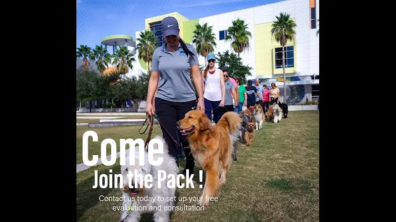 Sit N Stay Dog Academy - Image 1