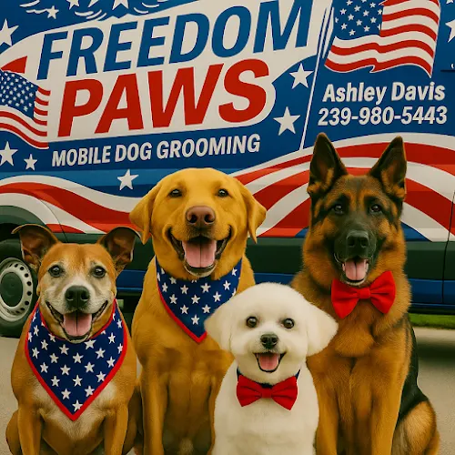 Freedom paws mobile groomer - Image 1