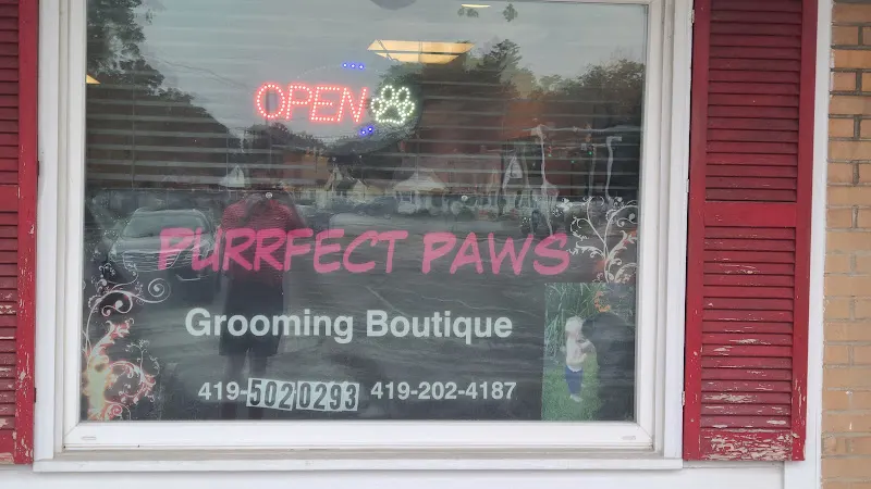 Purrfect Paws Grooming Boutique - Image 1