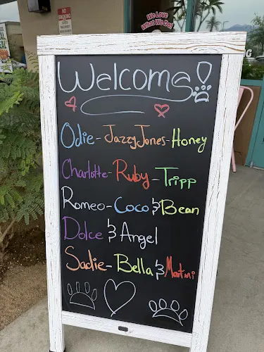 Woof Gang Bakery & Grooming Palm Desert - Image 1