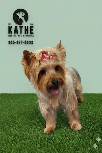 Kathe Miami Mobile Pet Grooming - Image 1