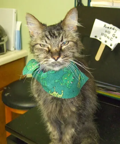 Overland Park Veterinary Center - Image 1