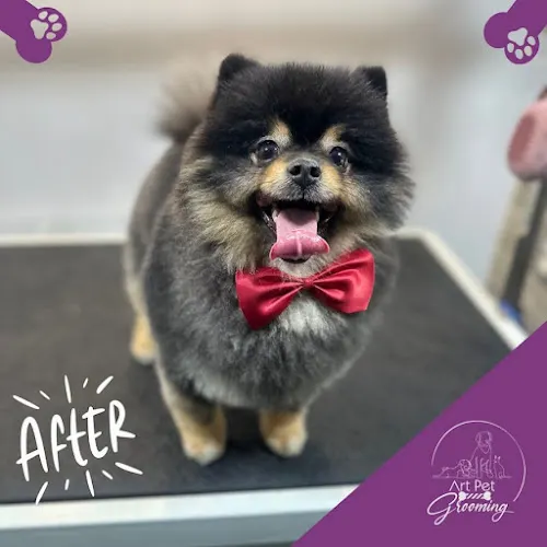Art Pet Mobile Grooming - Image 1
