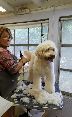Bark Place Hotel & Pet Grooming - Image 1
