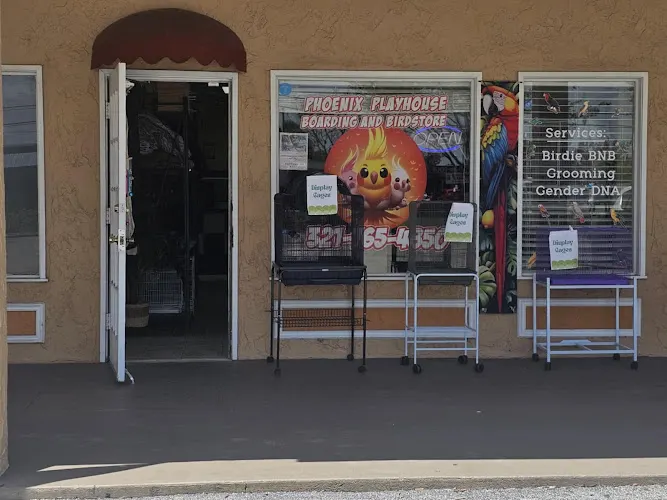 Phoenix Playhouse Boarding and Bird Store - Image 1