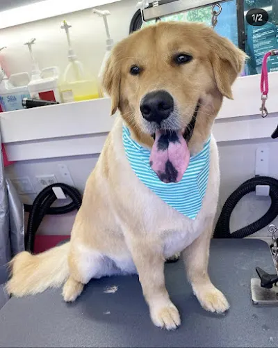 Groomingdales Mobile Pet Salon - Image 1