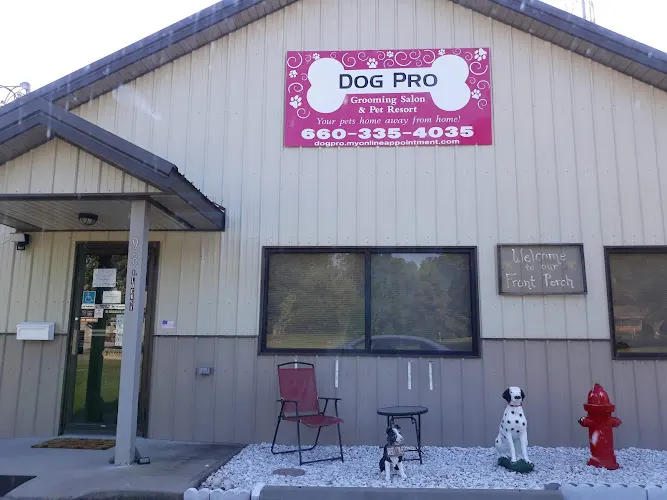 Dog Pro - Image 1