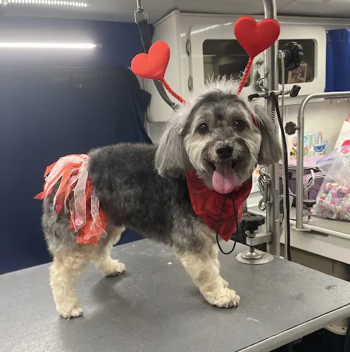 Sean's Mobile Pet Grooming - Image 1