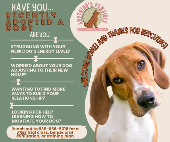 Anything's Pawsible LLC - Image 1
