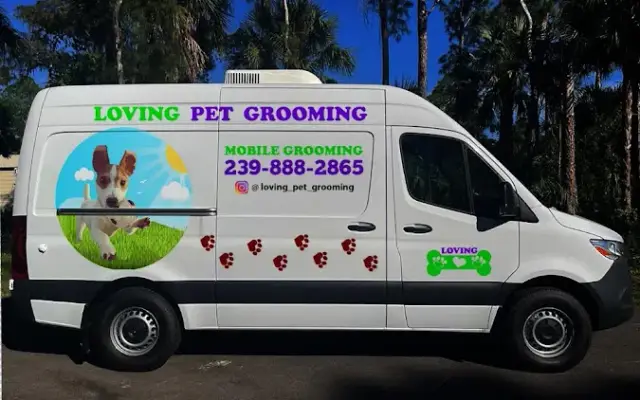 Loving Pet Grooming in Naples, FL