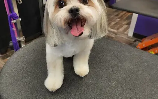 Furry Finesse LLC in Highland Park, IL