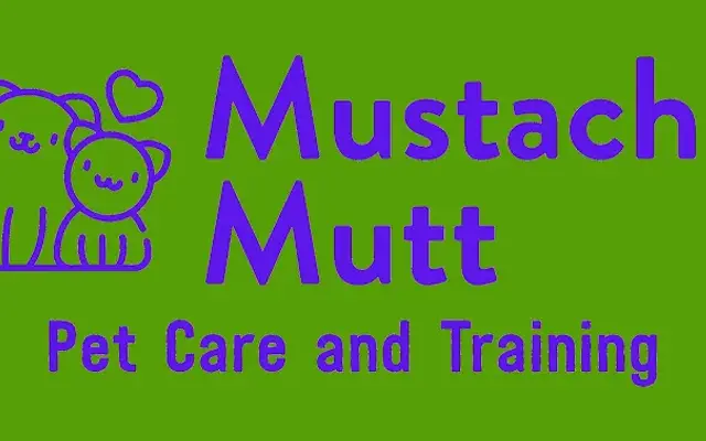 Mustache Mutts in Chicago, IL