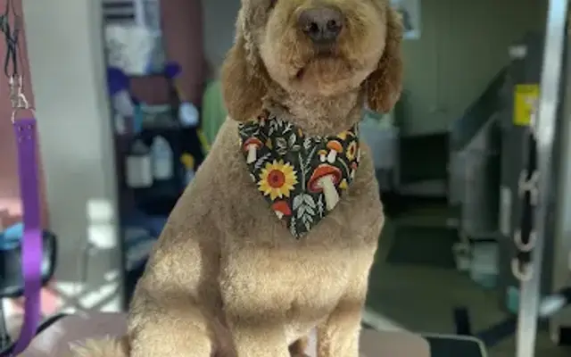 Madz Mutt Kutz in Mukwonago, WI
