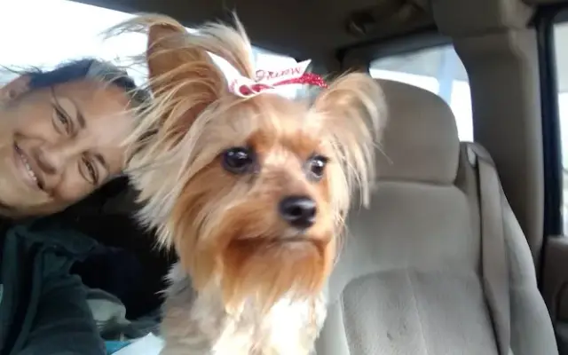 Posh Paw Pet Grooming in Eufaula, OK