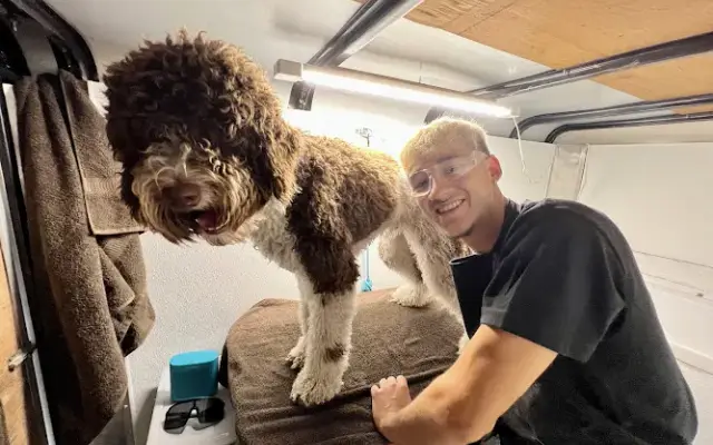 ShortTerm Dog Grooming in Sarasota, FL