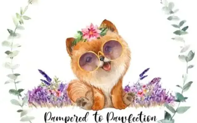 Pampered To Pawfection Dog Grooming by heidi shuster in Geneseo, NY