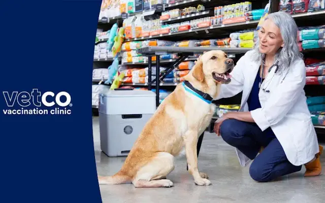 Vetco Vaccination Clinic in Bakersfield, CA