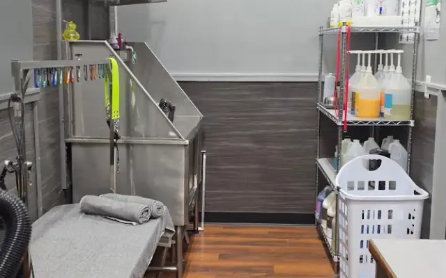 Pet Supplies Plus Purcellville Grooming in Purcellville, VA