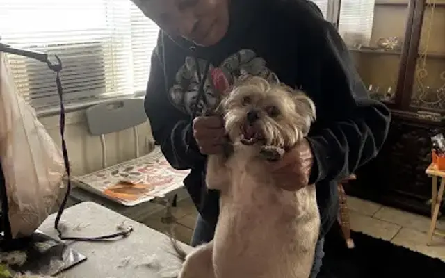 Ariel’s Mobile Nail Trimming Service in Wheatfield, IN