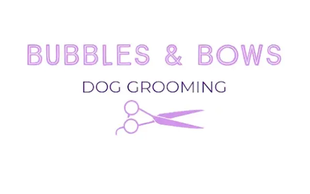 Bubbles & Bows in West Monroe, NY