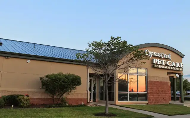Cypress Creek Pet Care, A Thrive Pet Healthcare Partner in Cedar Park, TX
