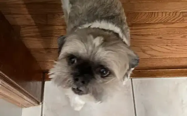JM Grooming in Willimantic, CT