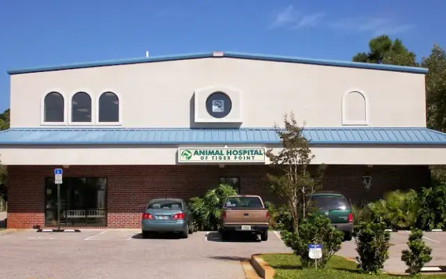 Animal Hospital of Tiger Point in Gulf Breeze, FL