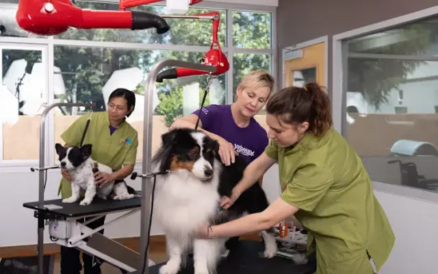 Joybound Grooming Salon in Walnut Creek, CA