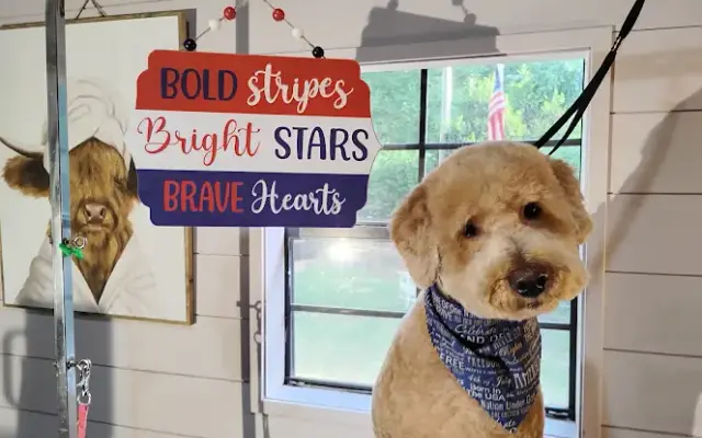 Pawzitively Grooming LLC in Lancaster, SC