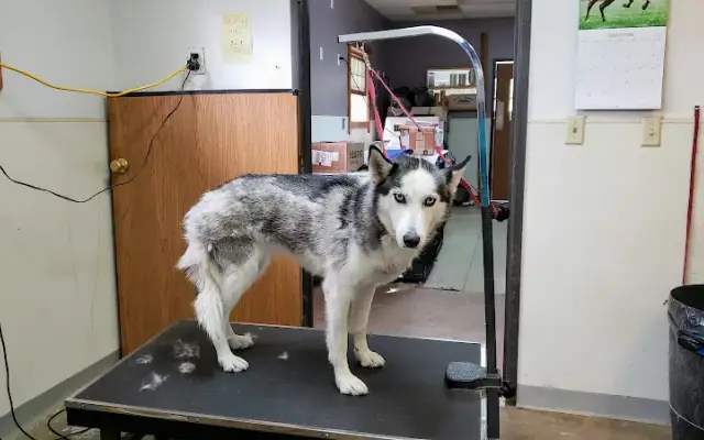 Oxford Pet Retreat in Oxford, OH