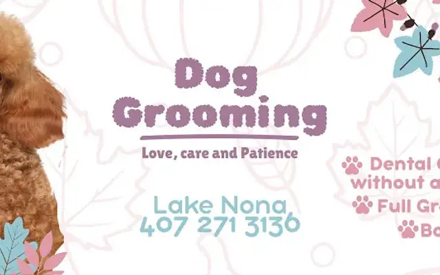 Bubble Pet Grooming in Orlando, FL