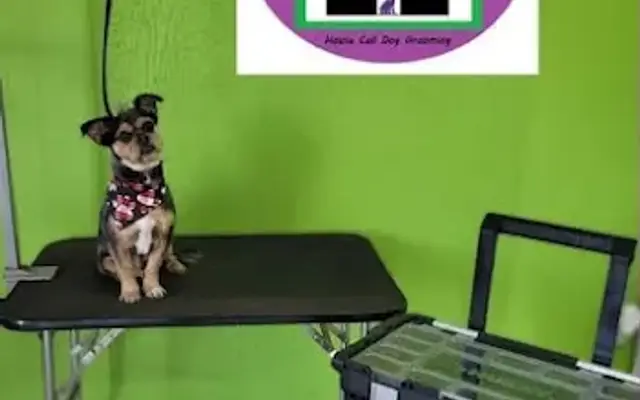 Precious Paws in Lakeland, FL