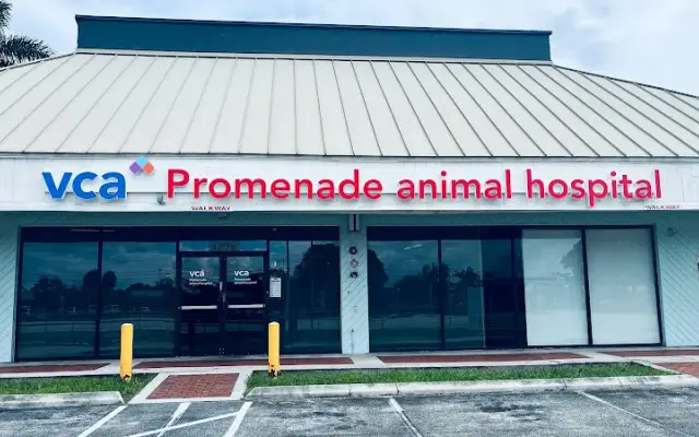 VCA Promenade Animal Hospital in Lauderhill, FL