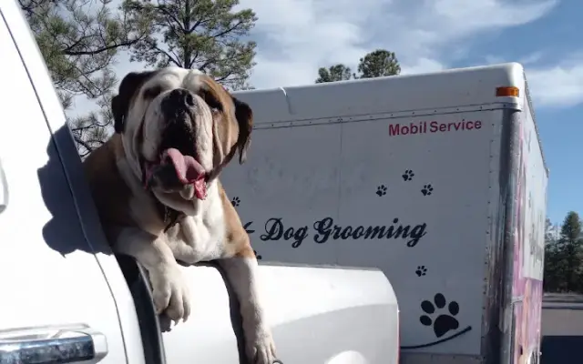 Dog Country LLC (Mobile Grooming) in Show Low, AZ
