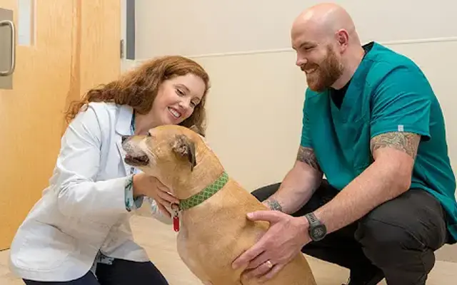 Vets Pets in Wilson, NC