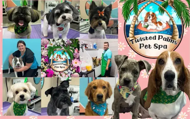 Twisted Palms Pet Spa in Largo, FL